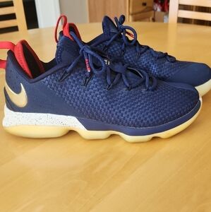 Nike Lebron  Red and Navy Sneakers